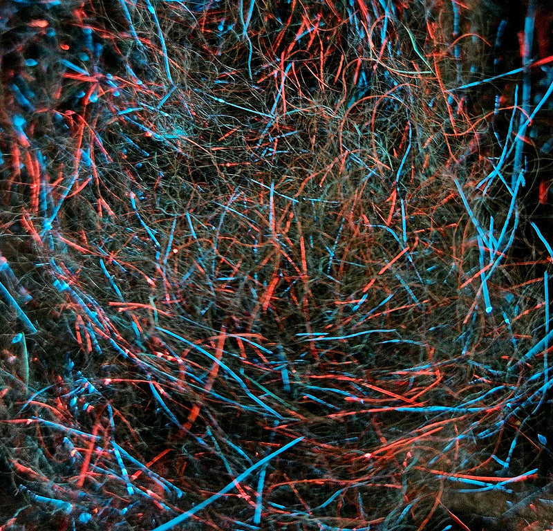 Electric Seal Dubbing