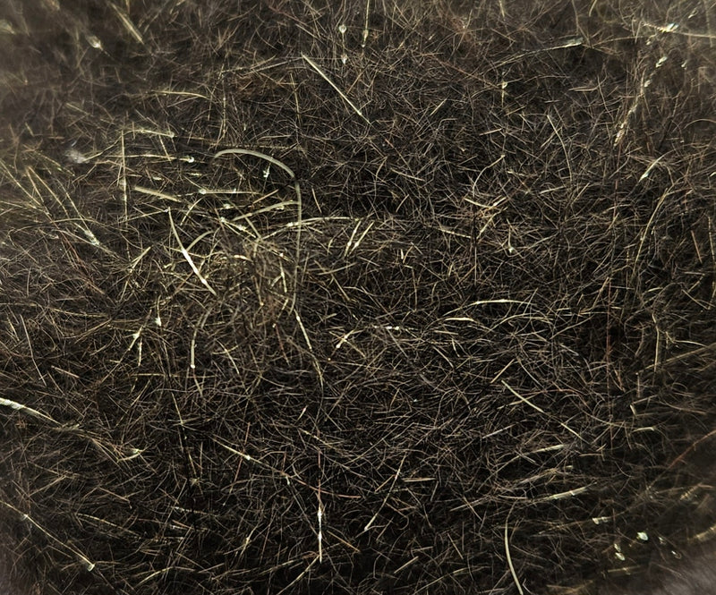 Golden Squirrel Dubbing