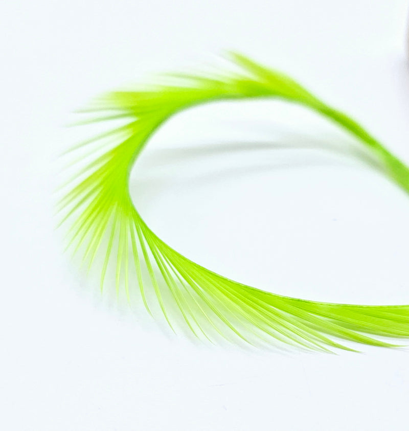 Electric Goose Biots