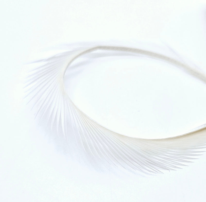 Electric Goose Biots