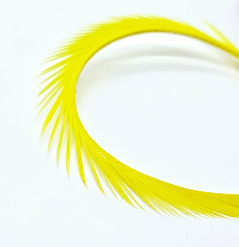 Electric Goose Biots