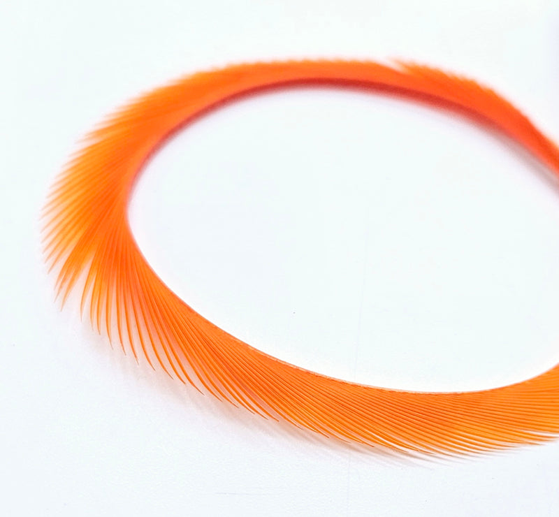 Electric Goose Biots