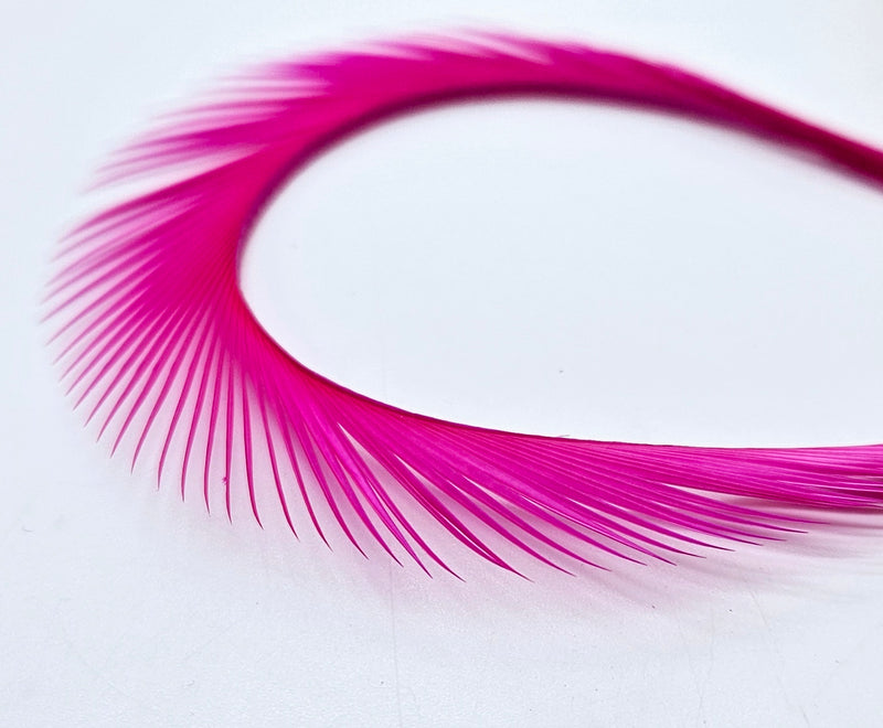 Electric Goose Biots