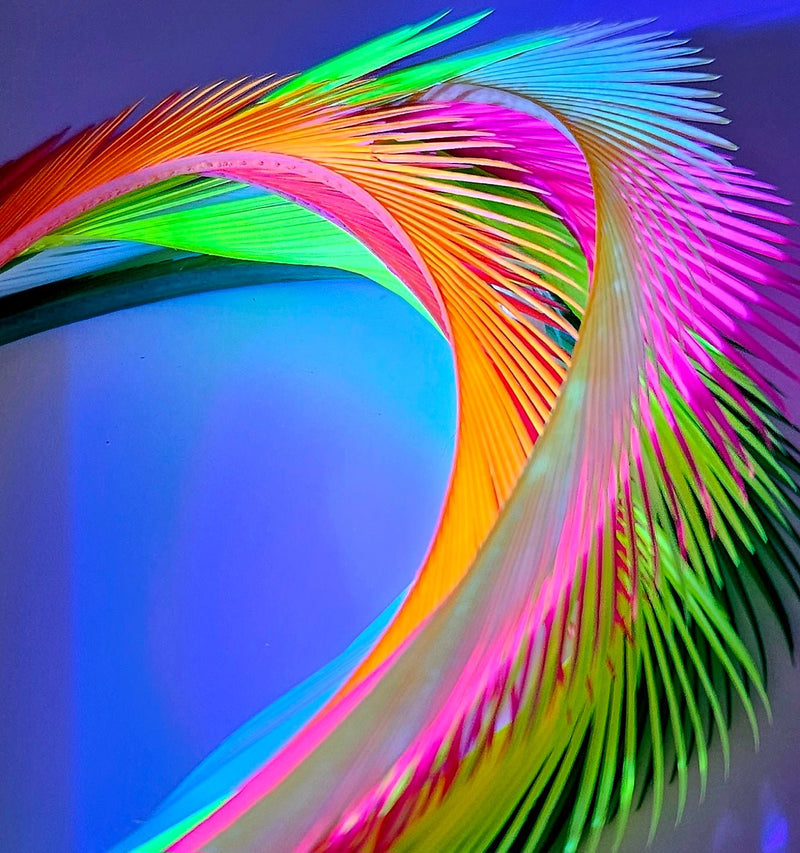 Electric Goose Biots