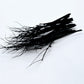 Double Knotted Pheasant Tail Legs x50 Per Pack