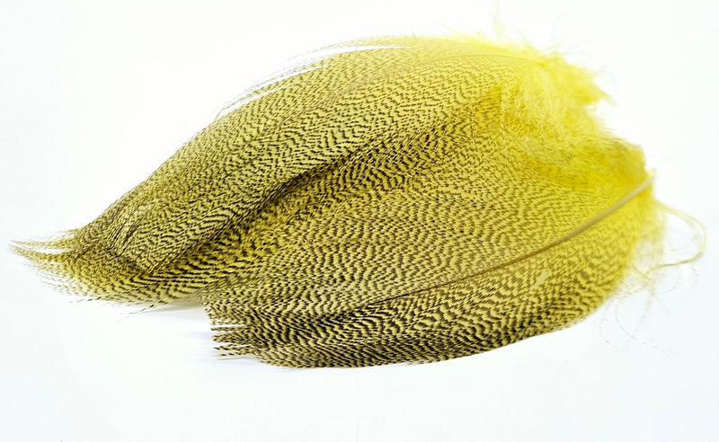 SHOR Fishing -  BRONZE MALLARD SPEY FEATHERS