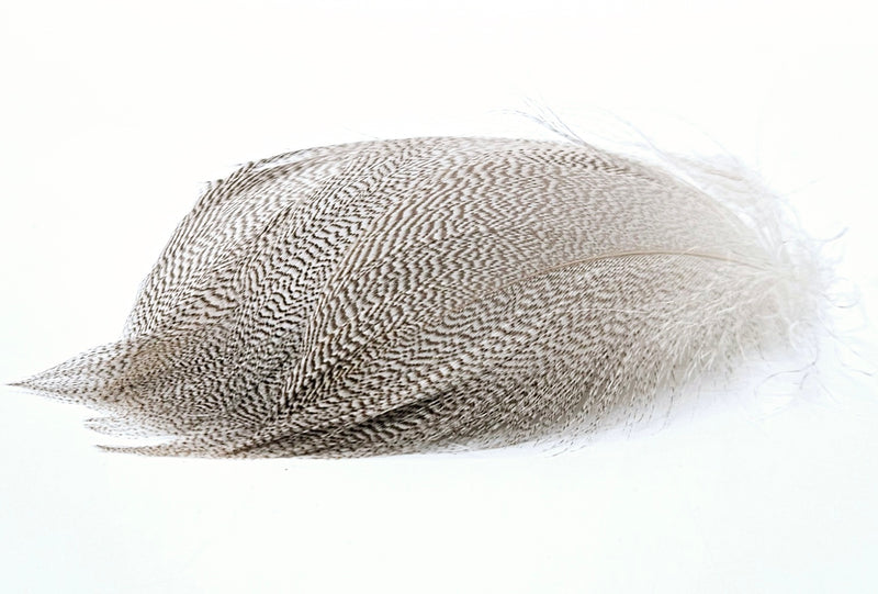 SHOR Fishing -  BRONZE MALLARD SPEY FEATHERS