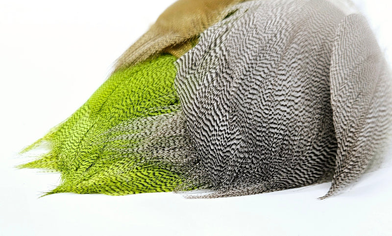 SHOR Fishing -  BRONZE MALLARD SPEY FEATHERS