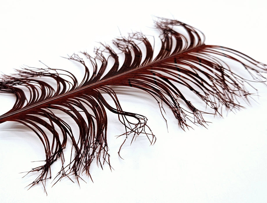 Veniard Cock Pheasant Knotted Tails