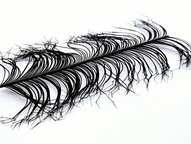 Veniard Cock Pheasant Knotted Tails