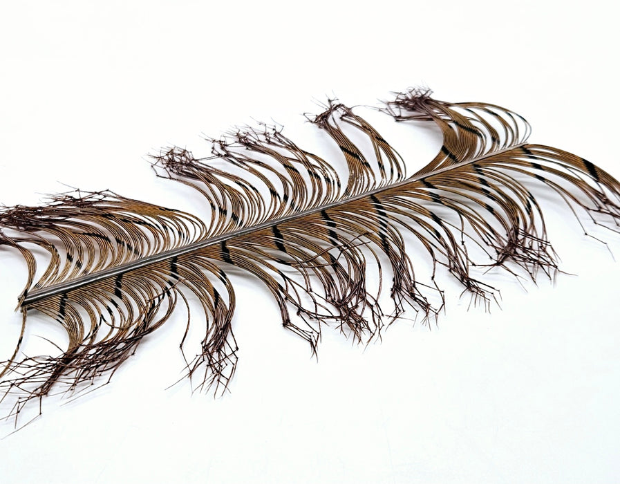 Veniard Cock Pheasant Knotted Tails