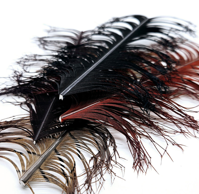 Veniard Cock Pheasant Knotted Tails