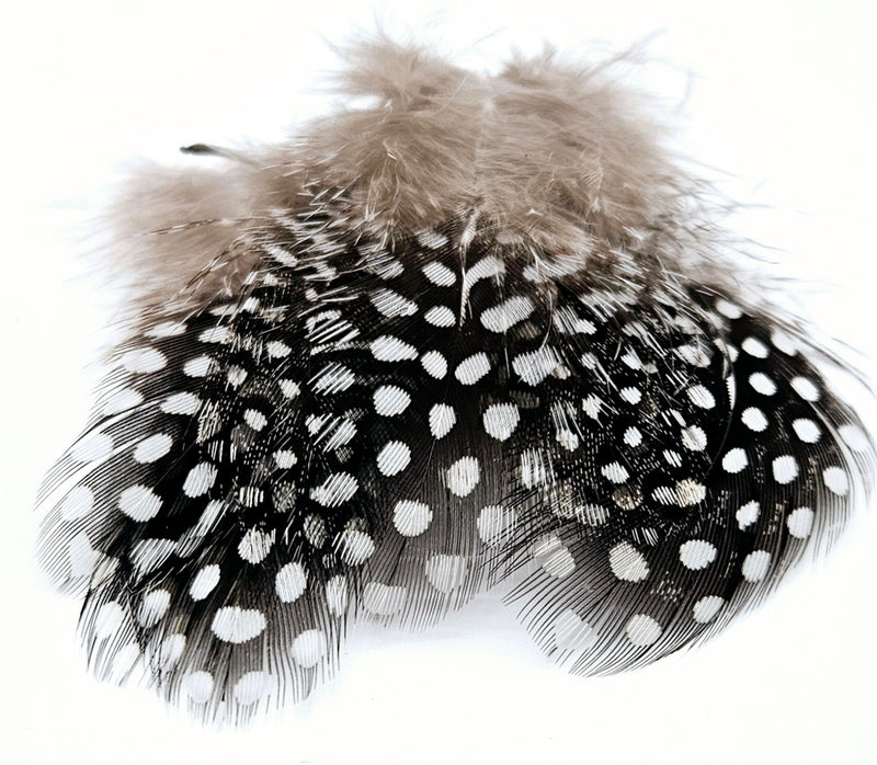 Veniard Guinea fowl Plumage 2 gram mixed