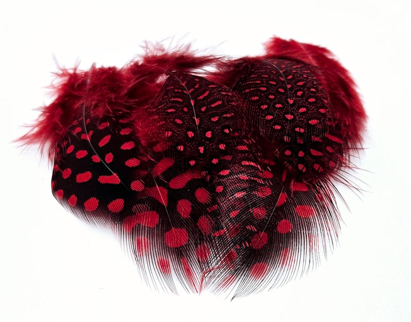 Veniard Guinea fowl Plumage 2 gram mixed