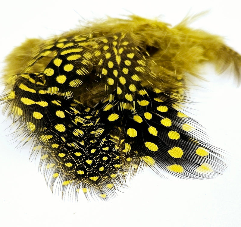 Veniard Guinea fowl Plumage 2 gram mixed