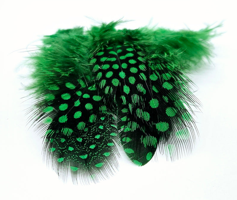 Veniard Guinea fowl Plumage 2 gram mixed