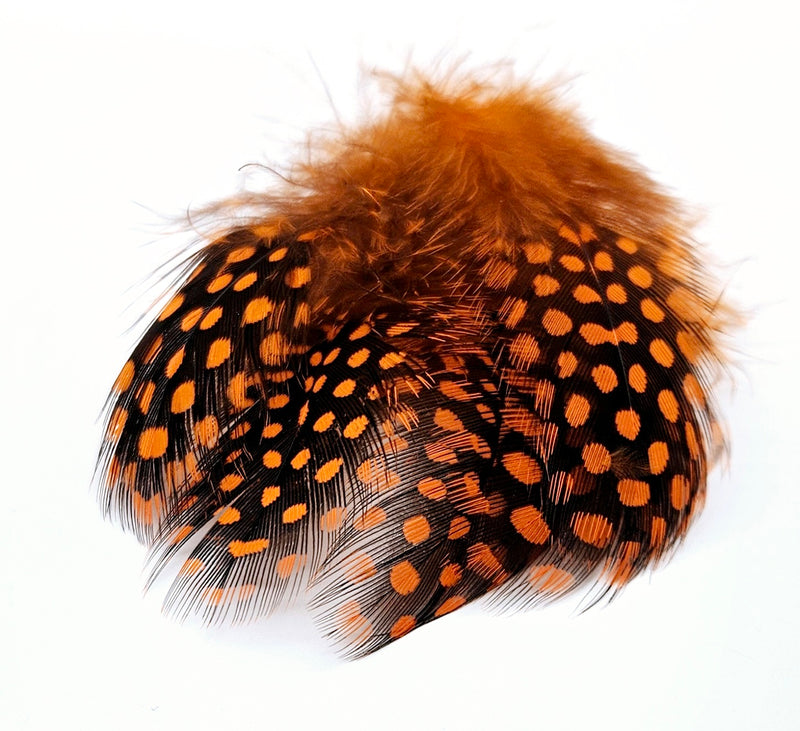 Veniard Guinea fowl Plumage 2 gram mixed