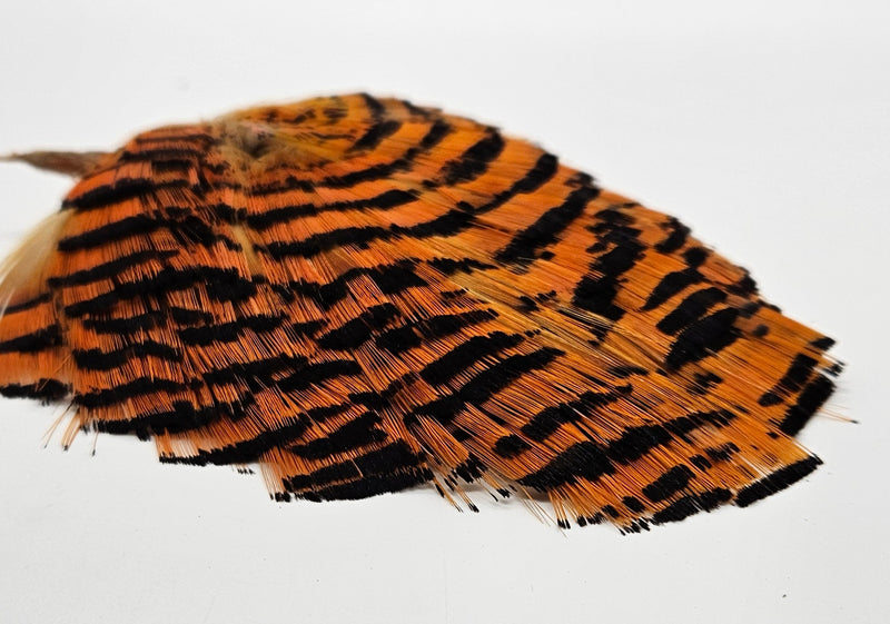 SHOR FISHING - GOLDEN PHEASANT TIPPET NATURAL & DYED