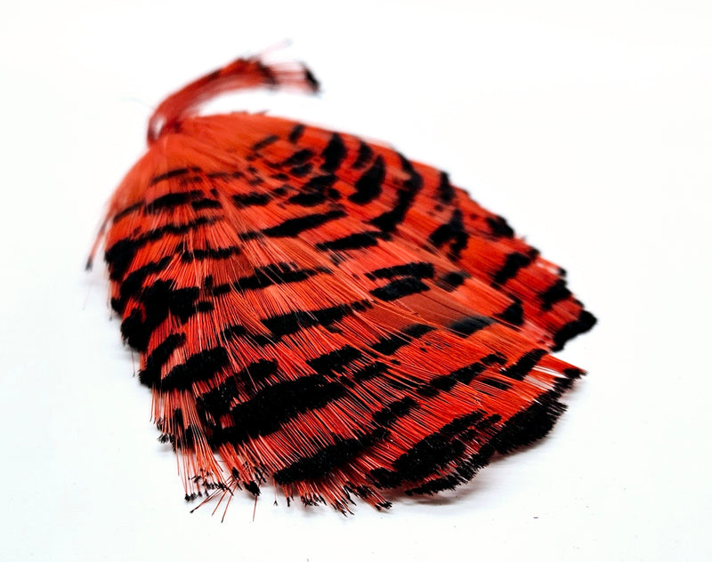 SHOR FISHING - GOLDEN PHEASANT TIPPET NATURAL & DYED