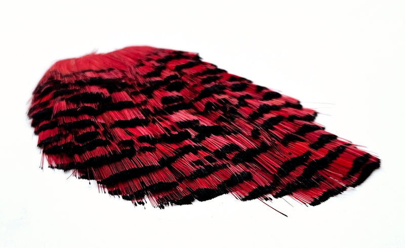 SHOR FISHING - GOLDEN PHEASANT TIPPET NATURAL & DYED