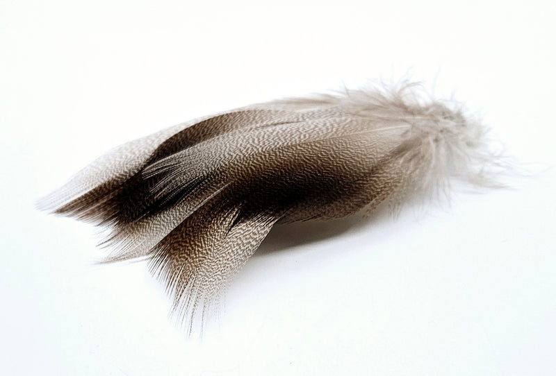 SHOR Fishing - Bronze Mallard Shoulder Feather Large