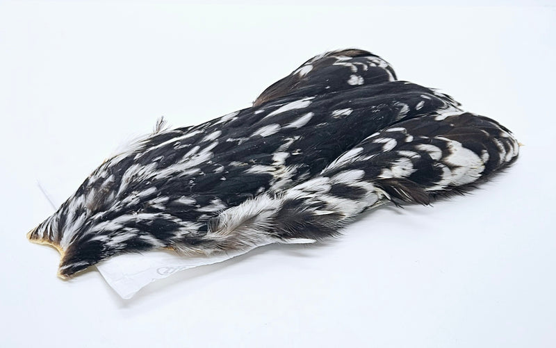 Whiting Farms 4Bs Hen Cape