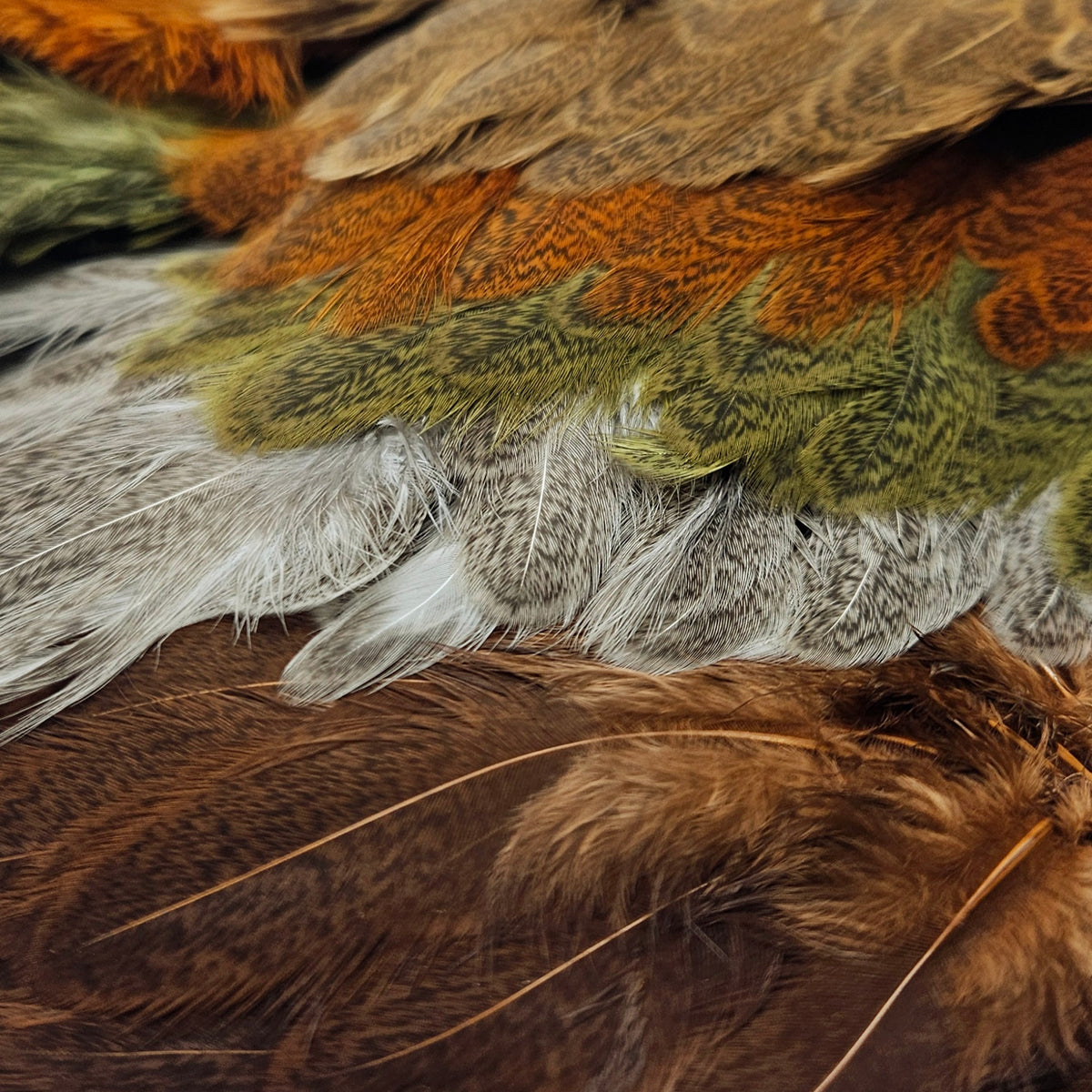 Whiting Brahma Hen | Soft Hackle with Chickabou | Brahma Hen