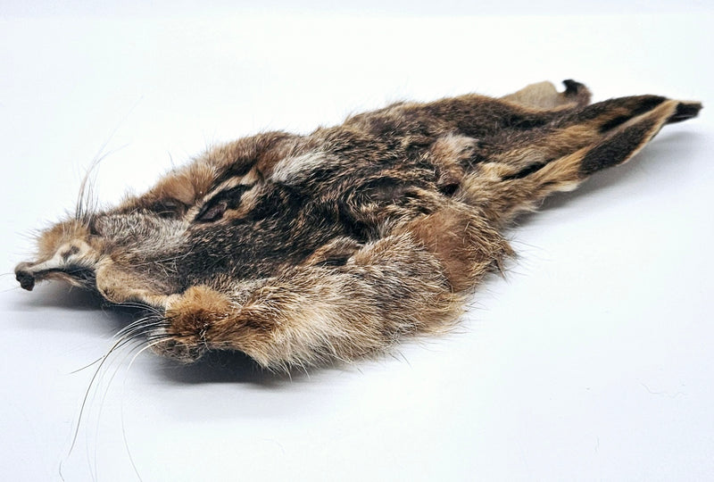 Veniard Hares Mask