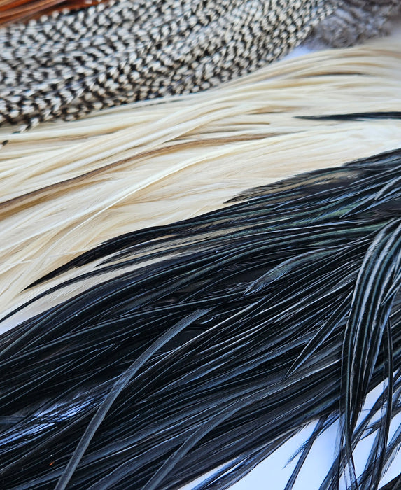 Whiting Farms - Introductory Hackle Pack - Four 1/2 Saddles