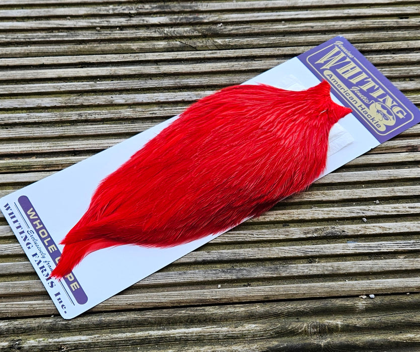 Whiting Farms - American Rooster Cape