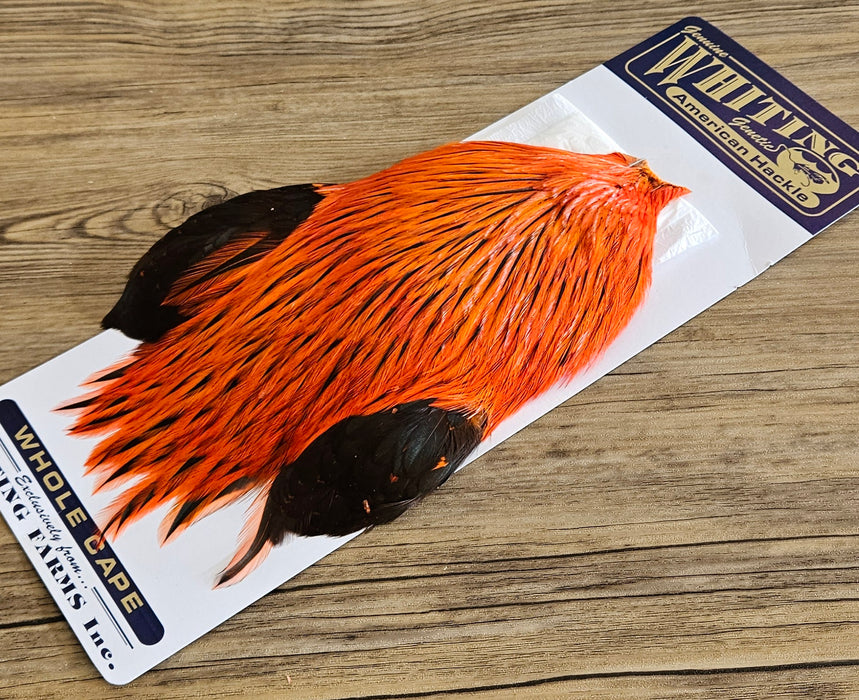 Whiting Farms - American Rooster Cape