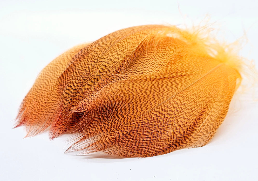 SHOR Fishing -  BRONZE MALLARD SPEY FEATHERS