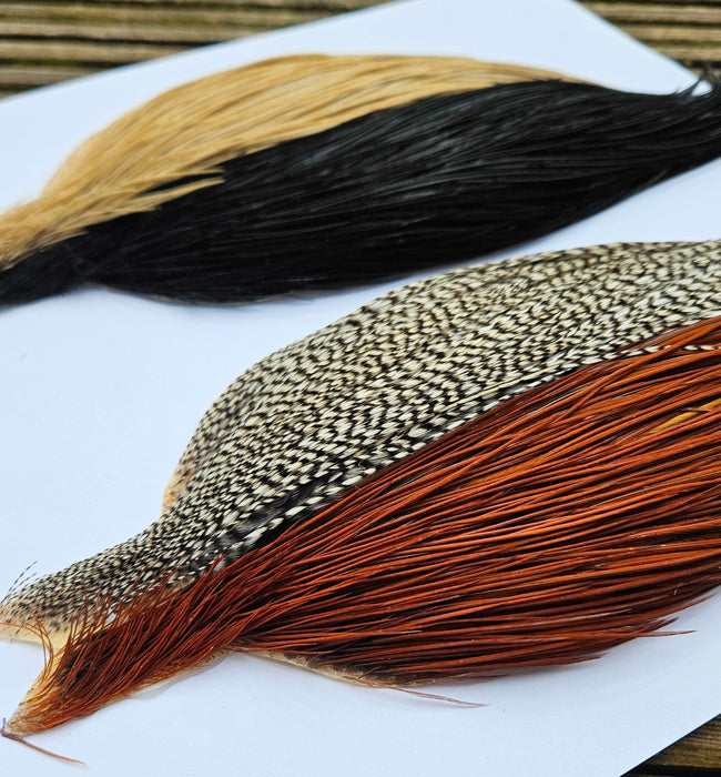 Whiting Farms Introductory Hackle Pack - Four Half Capes