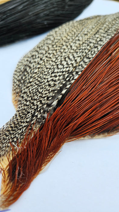 Whiting Farms Introductory Hackle Pack - Four Half Capes
