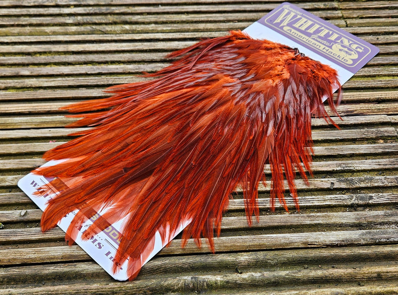 Whiting Farms American Rooster Saddle