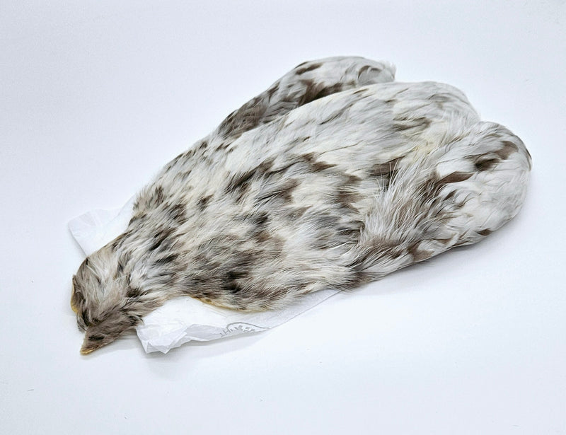 Whiting Farms 4Bs Hen Cape