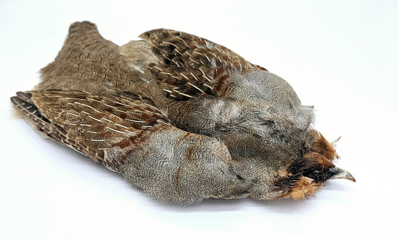 Veniard English Grey Partridge Skin