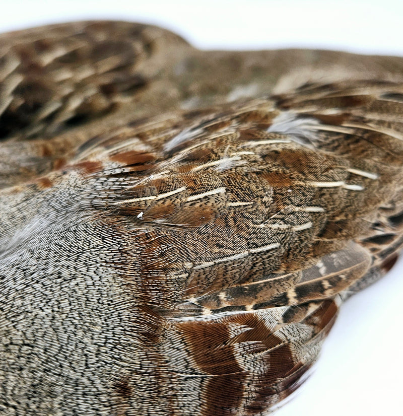Veniard English Grey Partridge Skin