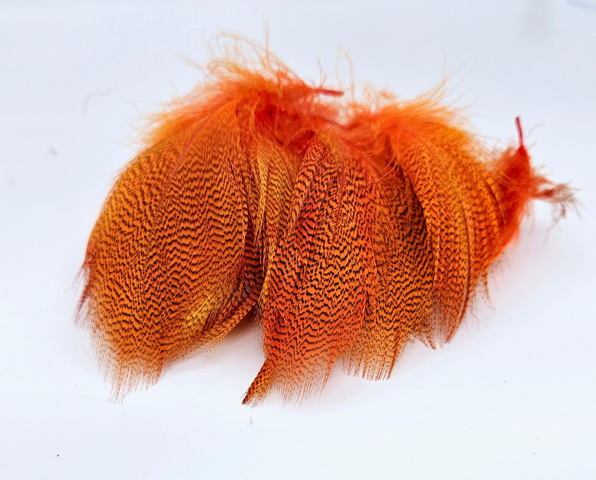 Shor Fishing - Mallard Flank Feathers