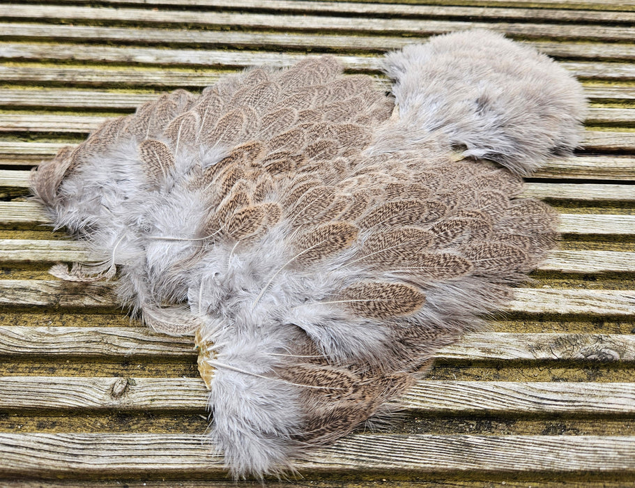 Whiting Farms - Brahma Hen Soft Hackle/Chickabou