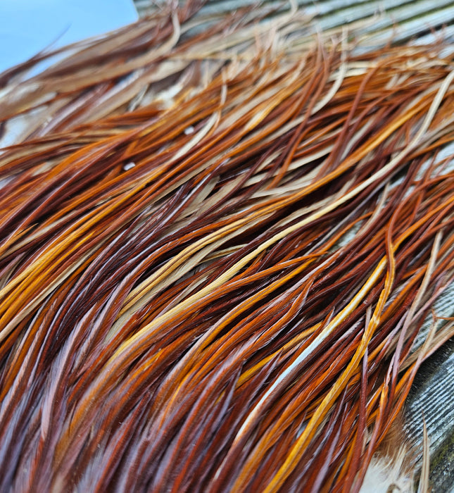 Whiting Farms - Bronze Grade - Dry Fly Rooster Saddle - Medium Ginger