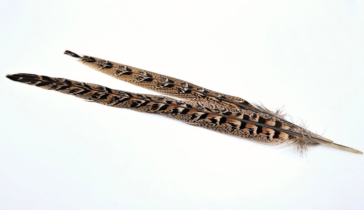 Veniard Hen Pheasant Centre Tail Pair