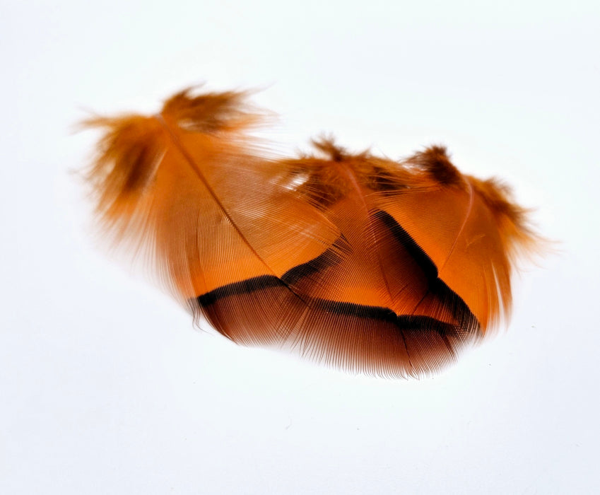 Veniard French Partridge Hackle 2g