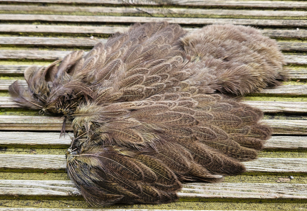 Whiting Farms - Brahma Hen Soft Hackle/Chickabou