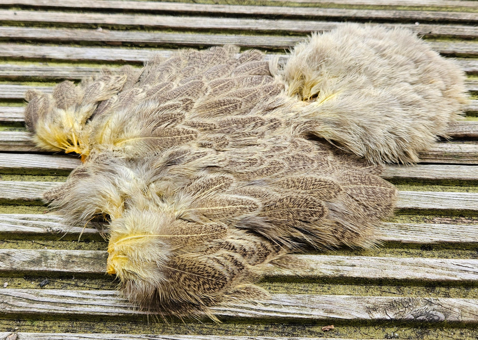 Whiting Farms - Brahma Hen Soft Hackle/Chickabou