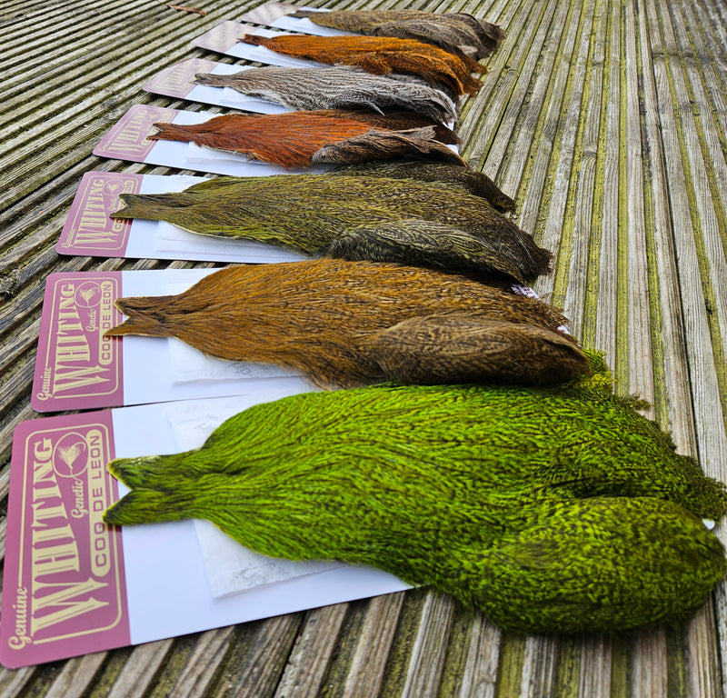 Whiting Farms - Coq de Leon Hen Capes