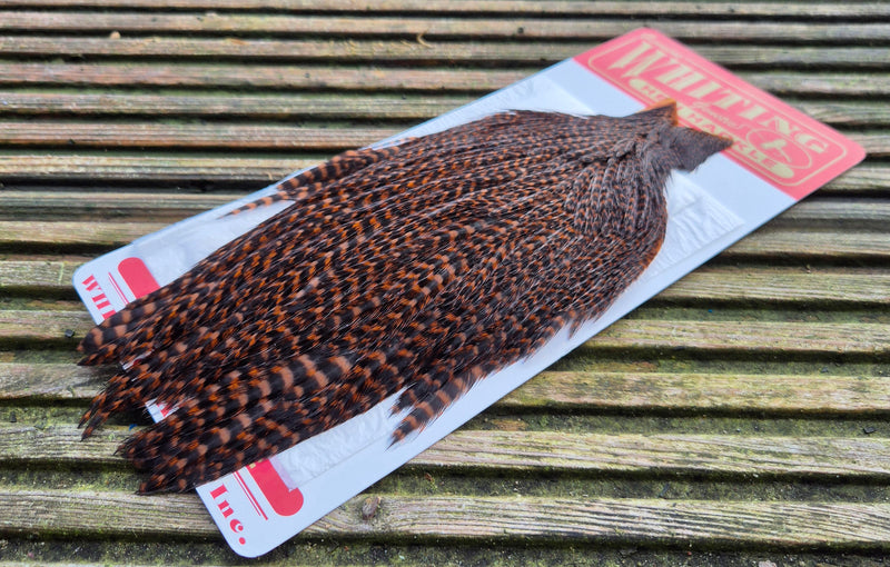 Whiting Farms - Hen Cape