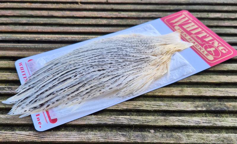 Whiting Farms - Hen Cape