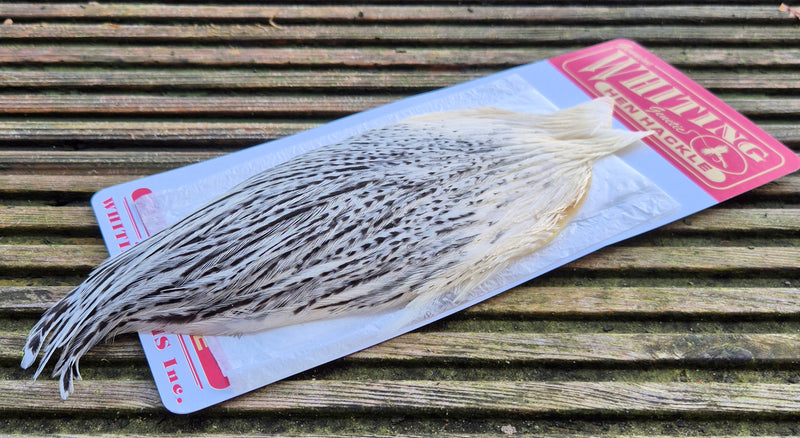 Whiting Farms - Hen Cape