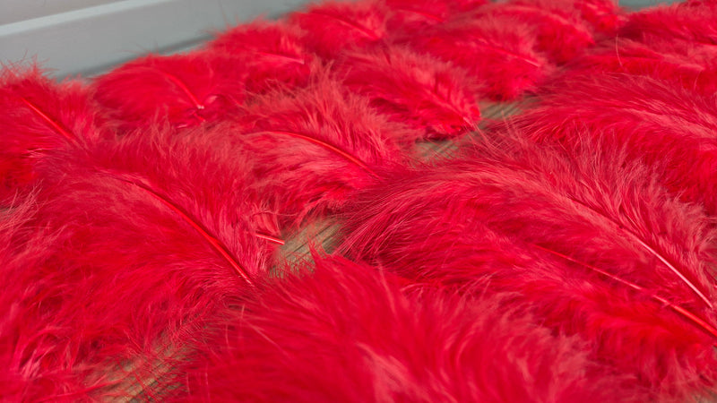 Extra Selected Marabou